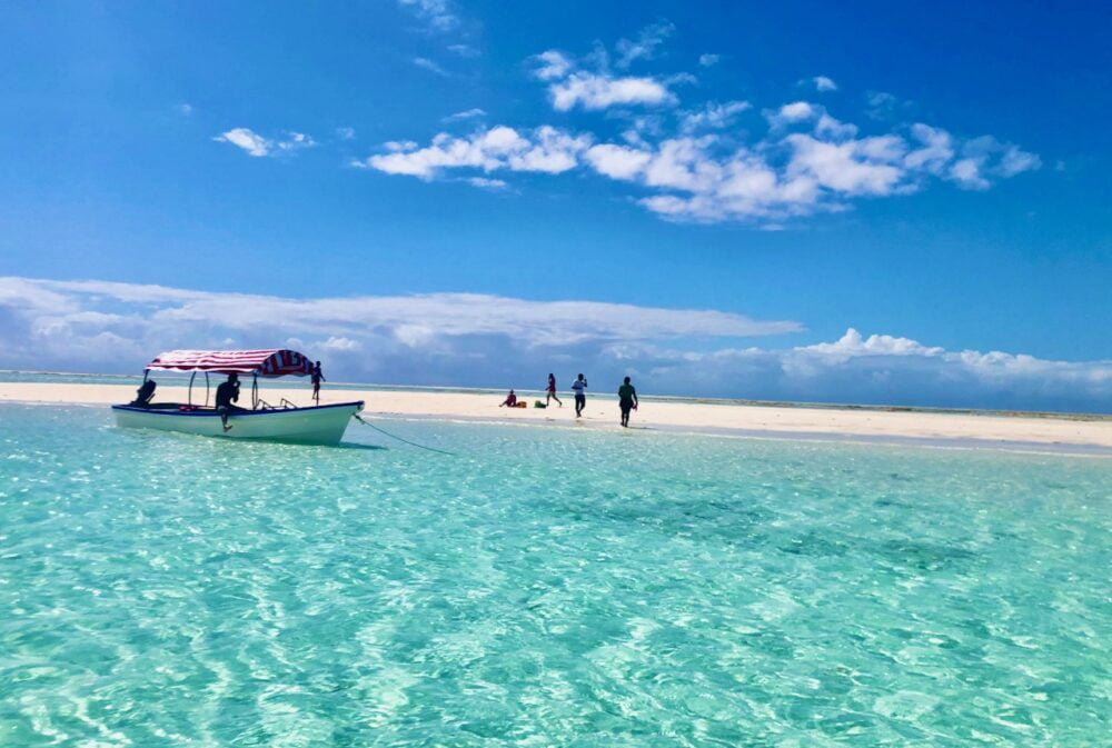 ZANZIBAR-ET SAFARI-Tanzanie 
